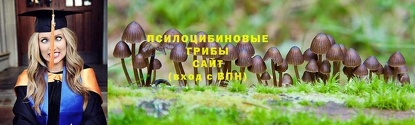 бошки Наволоки