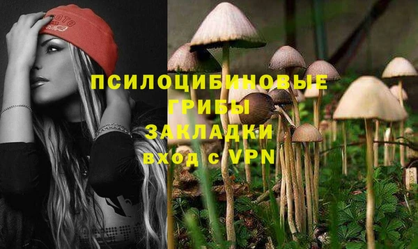 PSILOCYBIN Надым