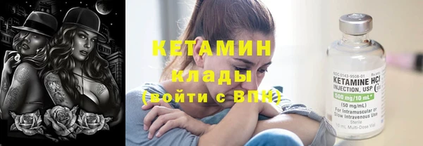 сатива Сосновый Бор